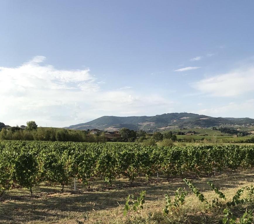 La Boheme, Gite De Charme Quincié-en-Beaujolais Exterior foto